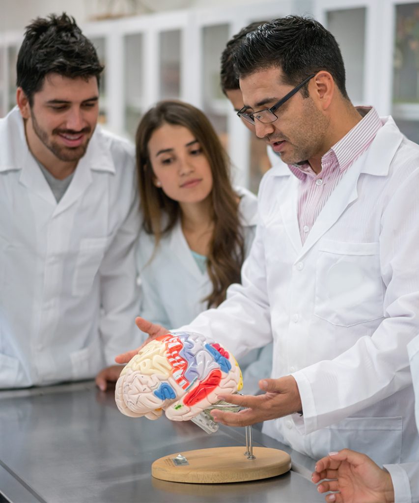 Undergraduate Summer Research Program